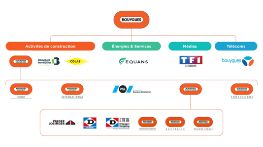 Organisation du groupe